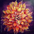 Autumn Bloom